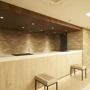 Sotetsu Fresa Ginza Sanchome Hotel Tokio