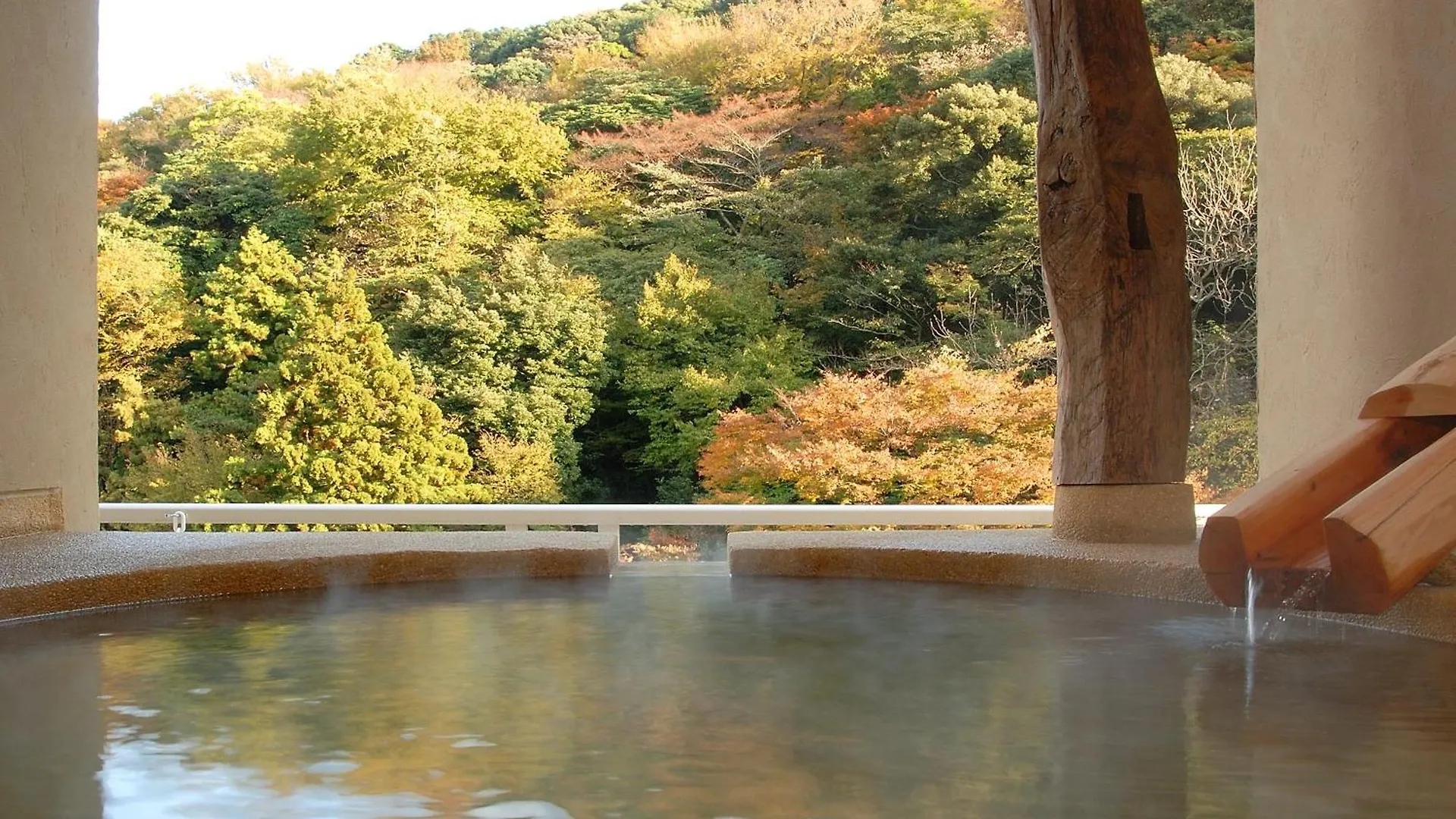 ホテル 箱根水明荘 日本