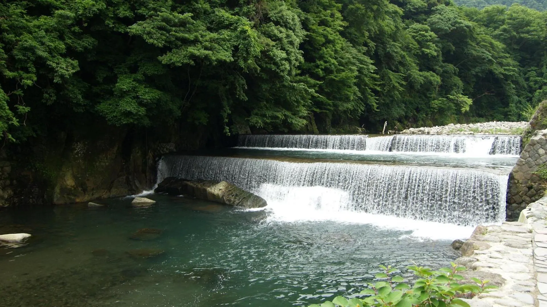 旅館 ホテル 箱根水明荘